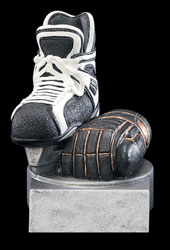 Hockey Color Tek Resin