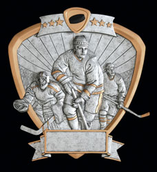 Hockey Resin Shields