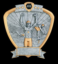 Swimming Resin Shields