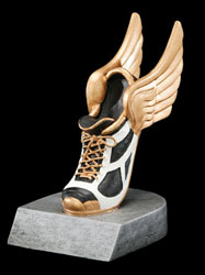 Track Color Tek Resin