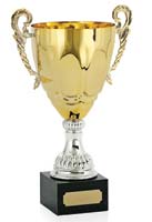 Prestige Line Cup Silver & Gold